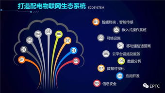 配電物聯(lián)網(wǎng)技術(shù)發(fā)展構(gòu)想 網(wǎng)絡(luò)技術(shù)開發(fā)新藍圖